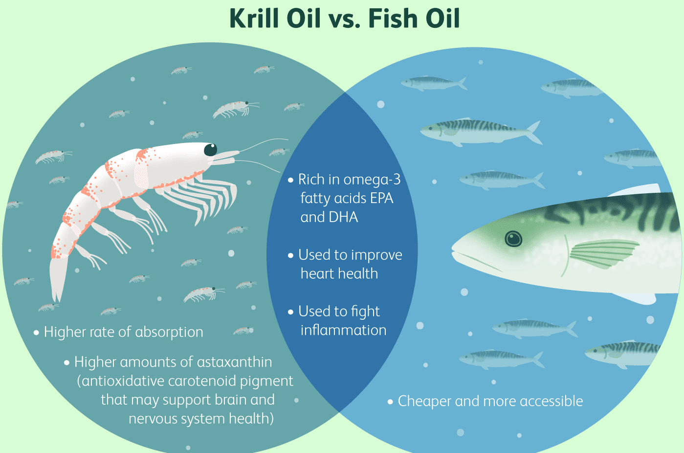 Krill Oil vs Fish Oil: Which Is Better for Your Health?
